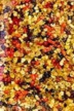 THREE KINGS MULTI COLOURED