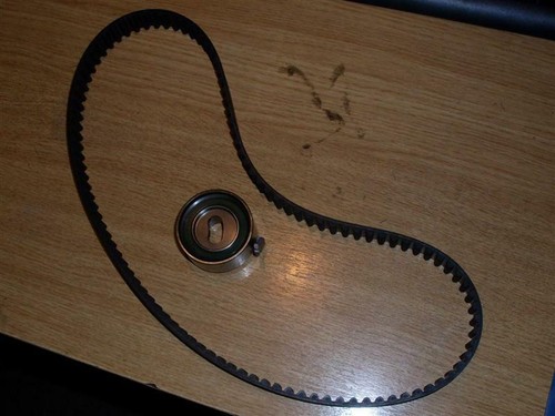 Timing cam belt - belt, for