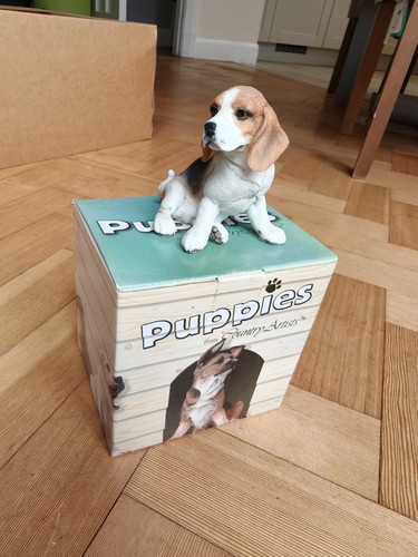 Country artists beagle puppy - artists,