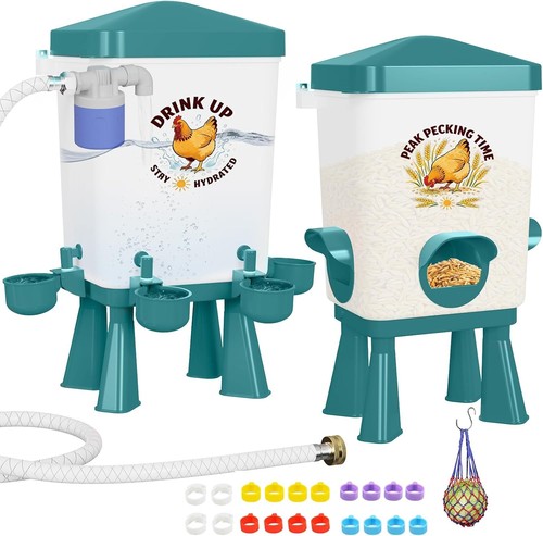 Chicken feeder and waterer - chicken,
