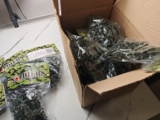 15 Packs of traditional green