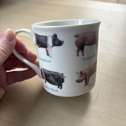 Pigs mug from - , the