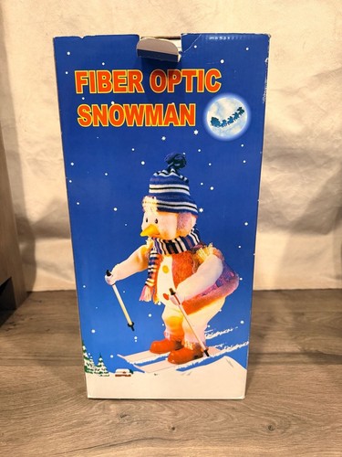 Vintage skiing fiber optic - skiing,