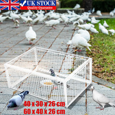 Pigeon Cage Feral Pigeon Trap 60*40*26cm Large Multi Trap Catch Foldable 4 Door