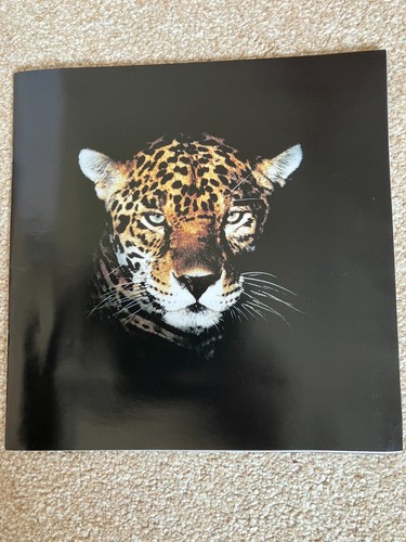 Jaguar cars marketing - , brochure