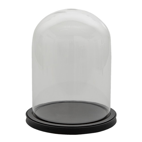 Glass display cloche - bell, jar