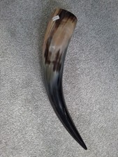 Large Viking-syle Drinking