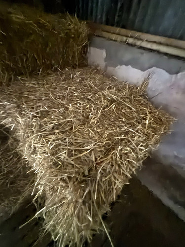 Small bales barley straw - small,