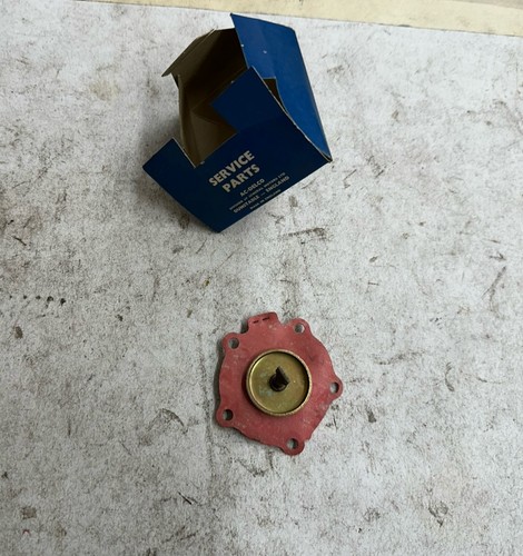 500292 516875 triumph - 500292/516875,