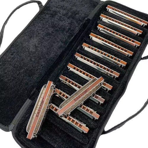 Easttop pro10 diatonic blues - pro10,