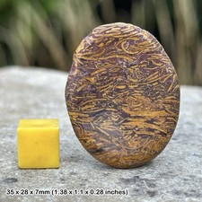 Certified miriam palm worry