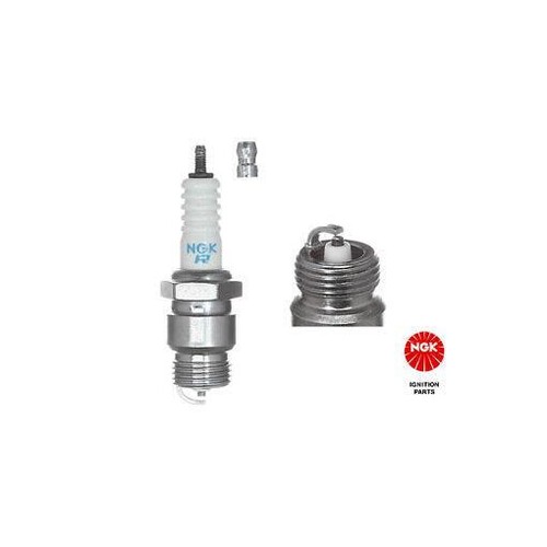 2922 ngk spark plug - ngk,