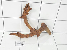 Premium Aquarium Natural