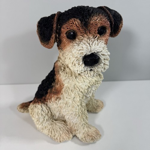 Castagna fox terrier - castagna, dog