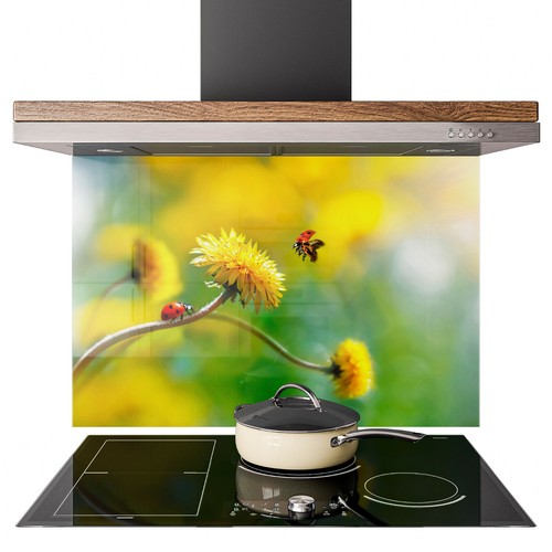 Glass splashback kitchen - splashback, tile