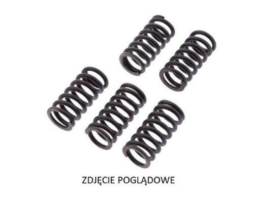 Clutch spring set csk - clutch,