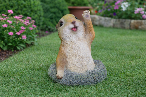 Quirky meerkat decorative - meerkat,