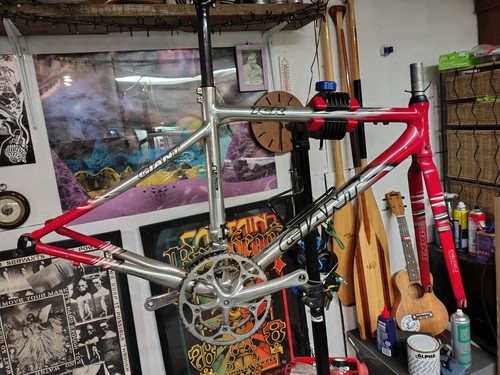 Giant tcr aluxx 6000 frame - giant,