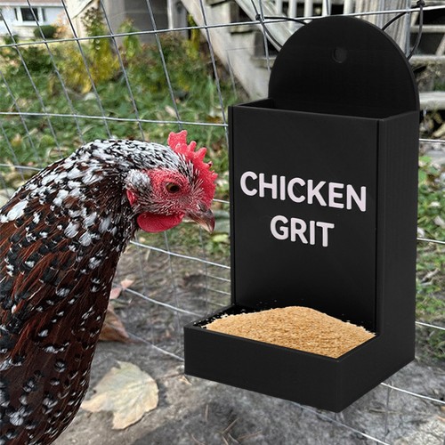 Chicken grit feeder - grit, corner