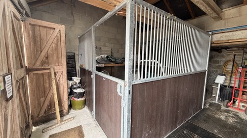 Iae horse stable - horse, front