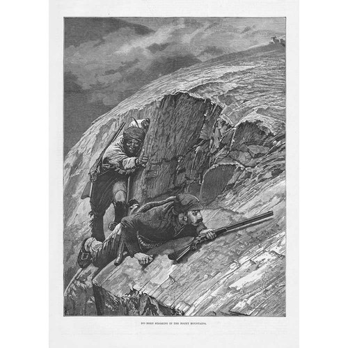Hunting big horn - big, in