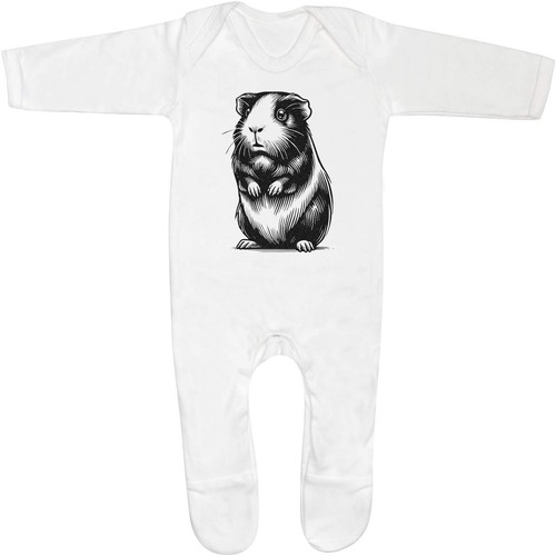 Guinea pig standing baby - 'guinea,