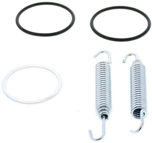 Exhaust gasket ring - gasket, o-ring