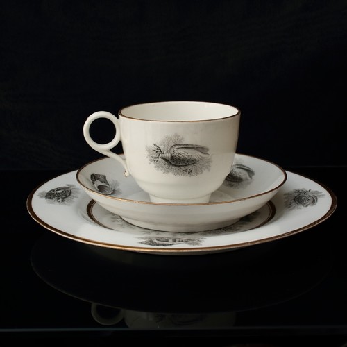 Georgian worcester porcelain - georgian,