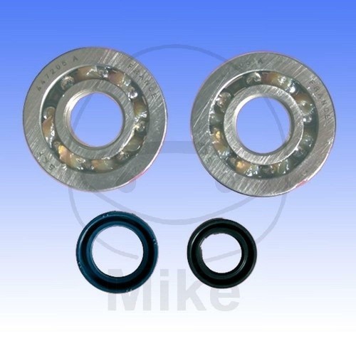 Crankshaft bearing kit - crankshaft,