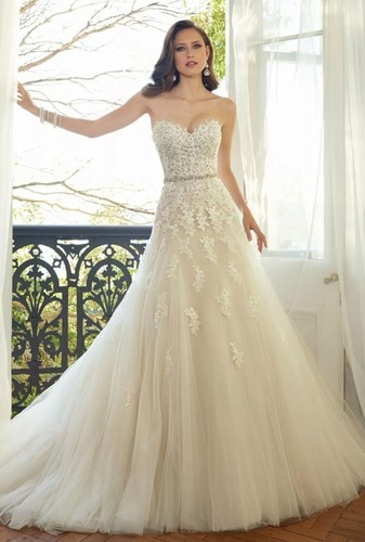 Sophia tolli prinia - sophia,
