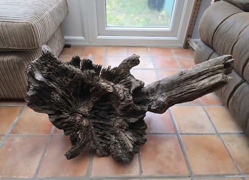Bogwood driftwood huge - /,