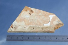 WHITE STAR LINE RMS OLYMPIC 10" SMOKING ROOM PLYWOOD CEILING HALTWHISTLE OFFCUT