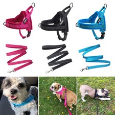 No Pull Front Clip Dog Harness