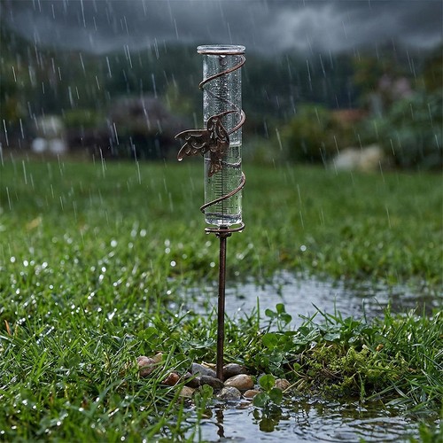 Decorative garden rain gauge - rain,