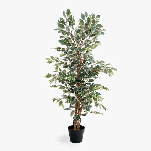 Blooming artificial damaged - blooming,