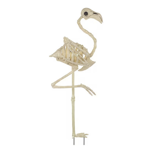 Giant flamingo skeleton - 34",