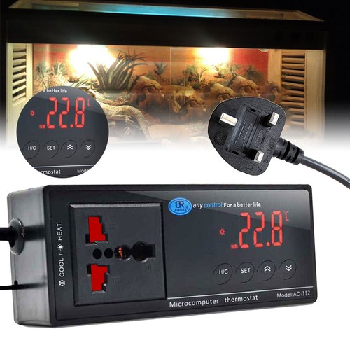 Digital reptile aquarium - reptile,