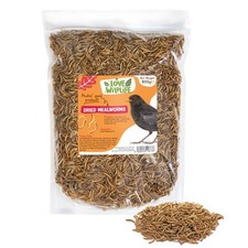Love Wildlife Dried Mealworms
