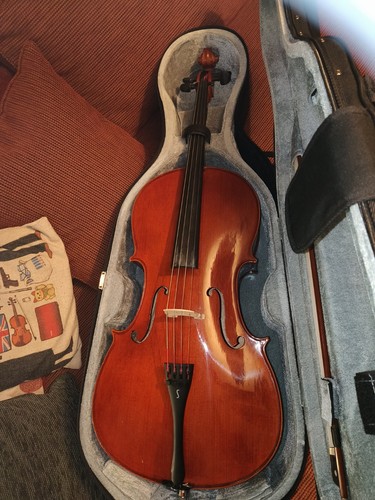 Size cello outfit stentor - cello,