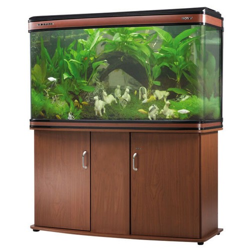 Aquarium fish tank bow front - aquarium,