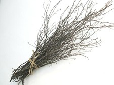 Natural Dried English Birch