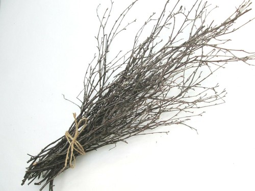 Natural dried english birch - natural,