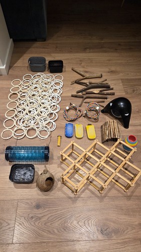 Rat accessories bundle - rat,