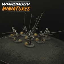 Pro Painted warhammer Lotr