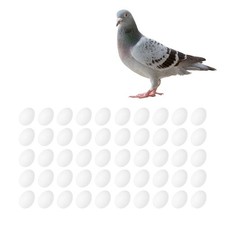 5/10/20pcs Adornment Fake Egg Toy Artificial Eggs White Pigeon Eggs Plastic