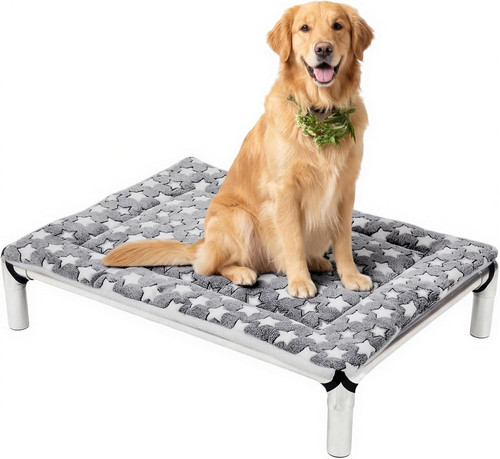 Reversible elevated dog bed - dog,