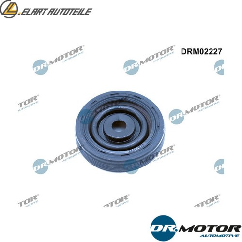 Shaft seal camshaft drm02227 - shaft,