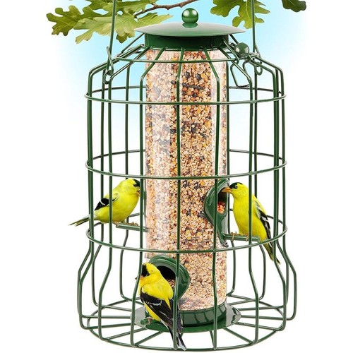 Squirrel proof hanging bird - hanging,