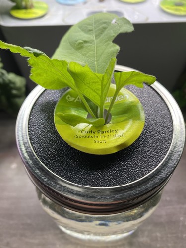 Aerogarden pod mason - aerogarden,