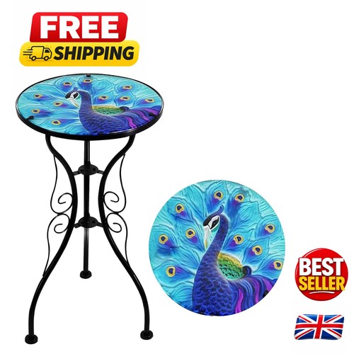 Stylish blue peacock outdoor - stylish,